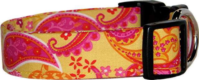 Vibrant Yellow & Pink Paisley Dog Collar